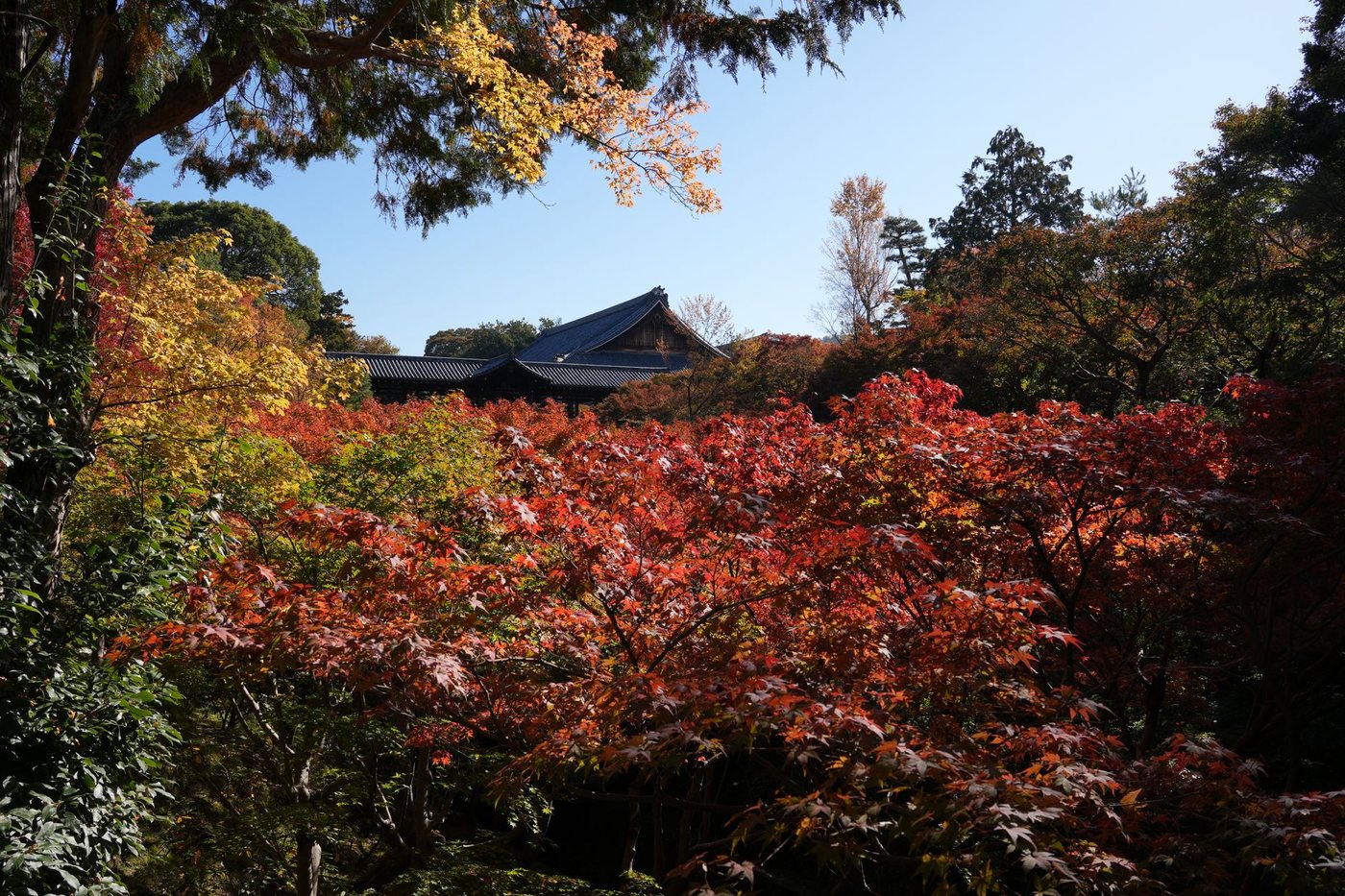 日本京都秋色
